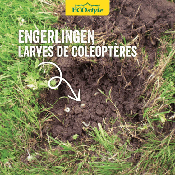 Aaltjes tegen engerlingen - Image 3