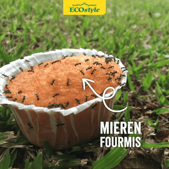 Aaltjes tegen mieren - Image 3