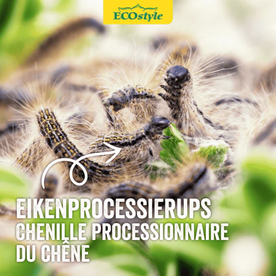 Aaltjes tegen eikenprocessierups - Image 3