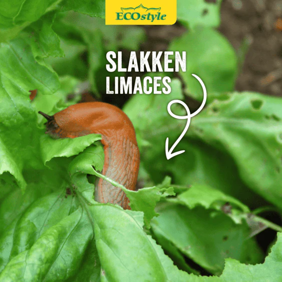 Aaltjes tegen slakken - Image 3