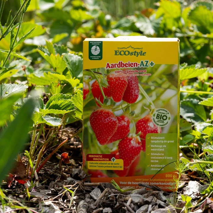 Aardbeien-AZ+ - Image 2