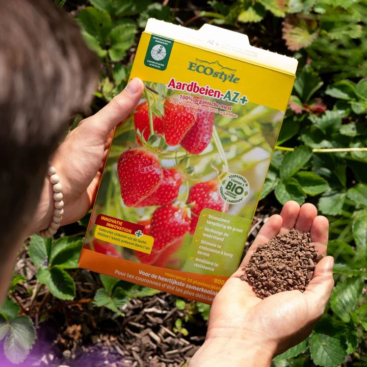 Aardbeien-AZ+ - Image 3