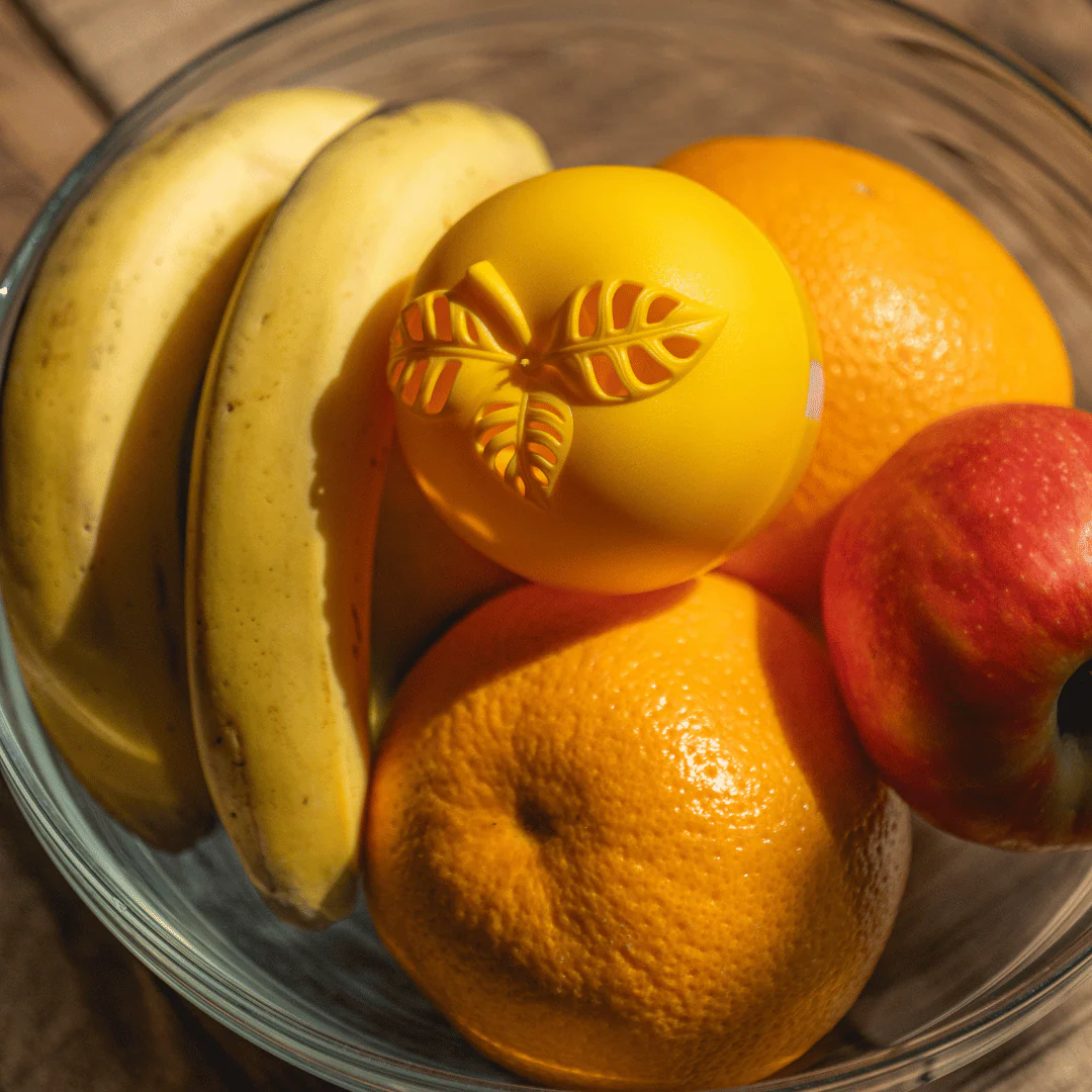 Fruitvliegval - Image 4