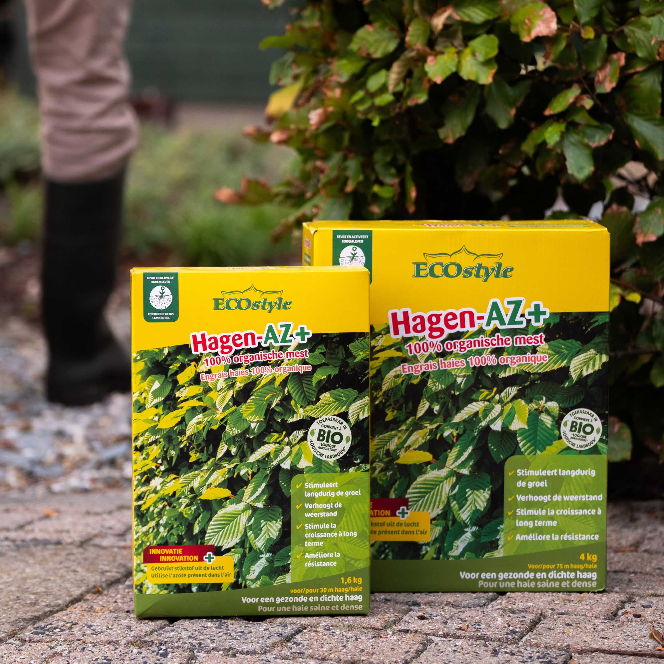 Hagen-AZ+ - Image 4