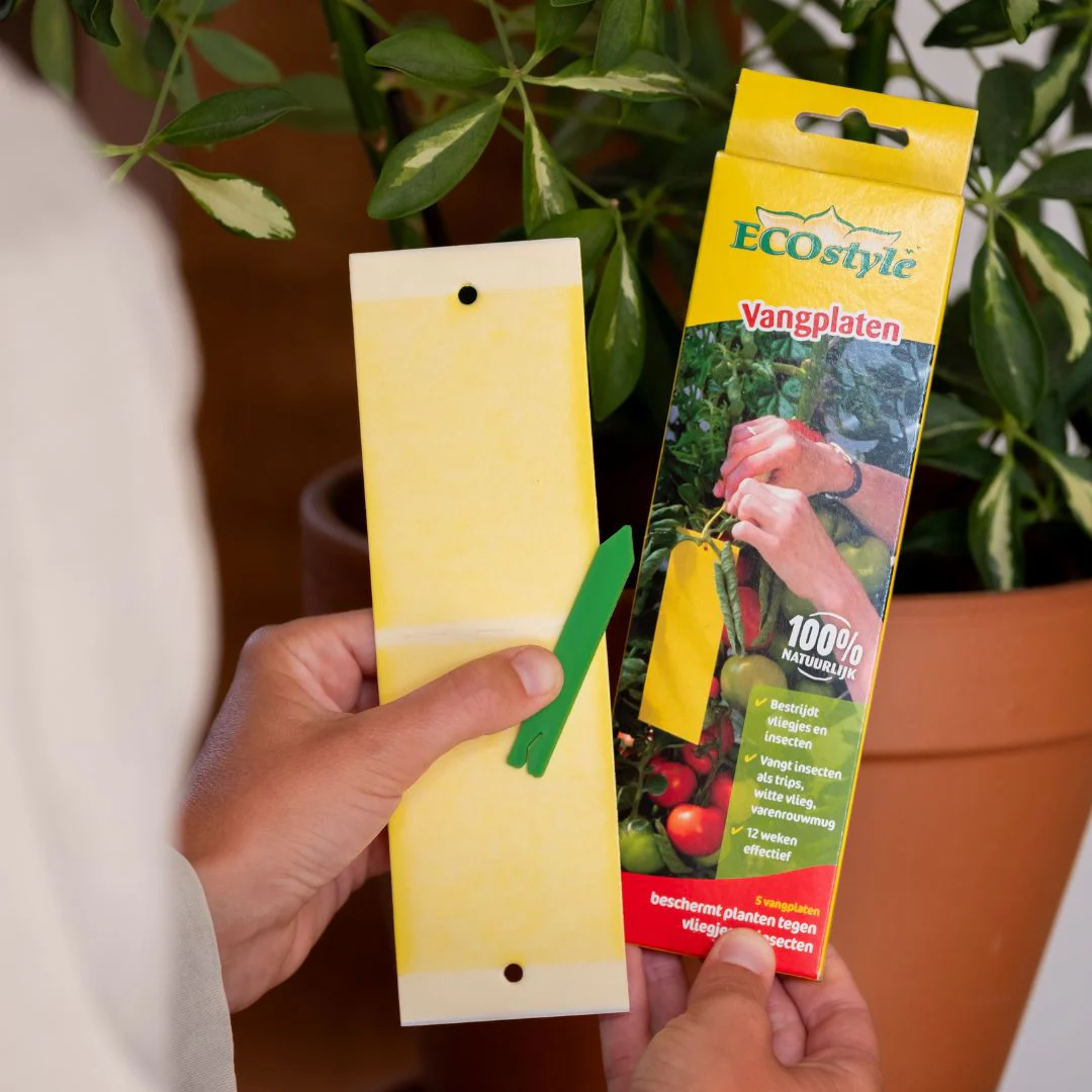 InsectFree Vangplaten - Image 2