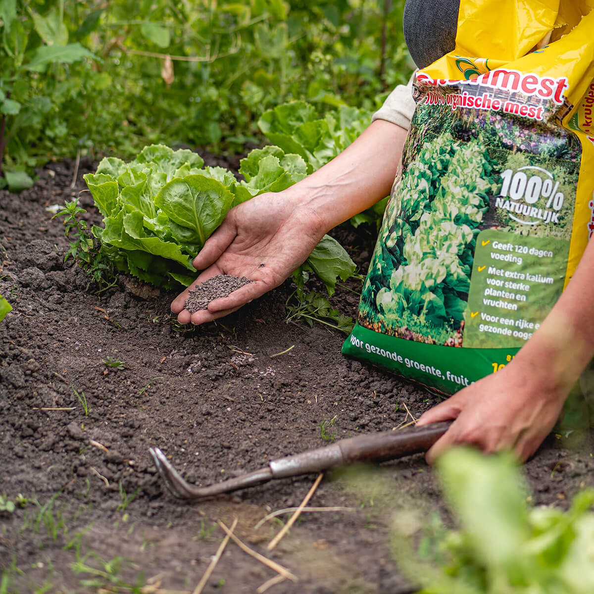 MoestuinMest - Image 3