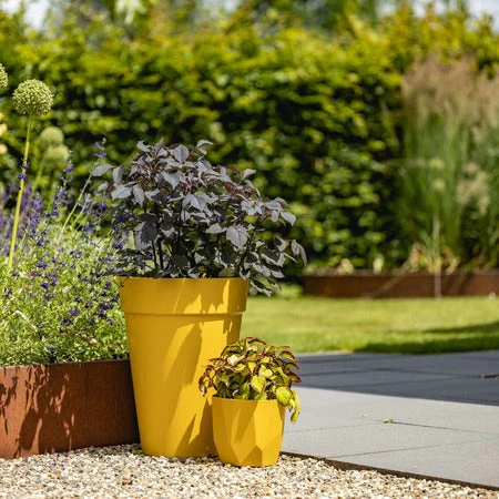 Potplanten voeding - Image 3