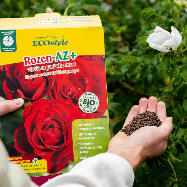 Rozen-AZ+ - Image 3