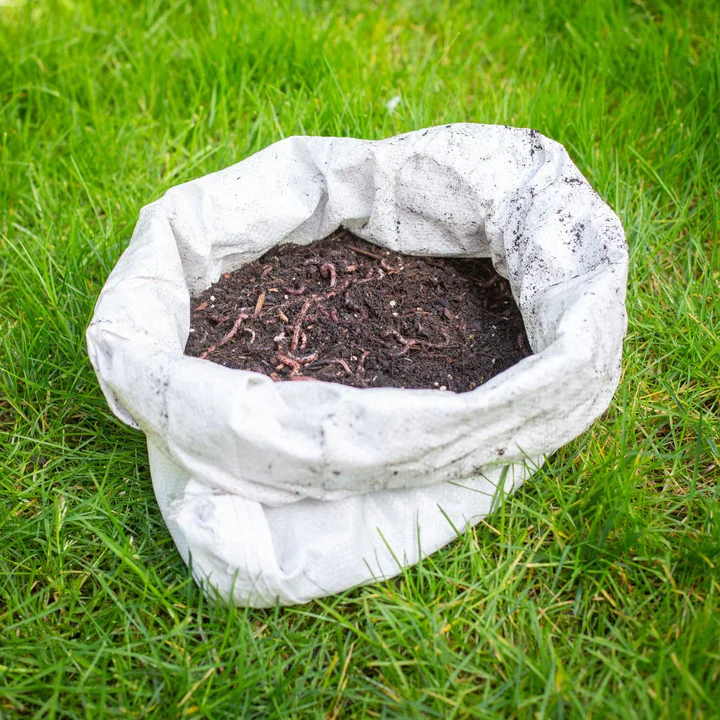 Compostwormen mix - Image 3